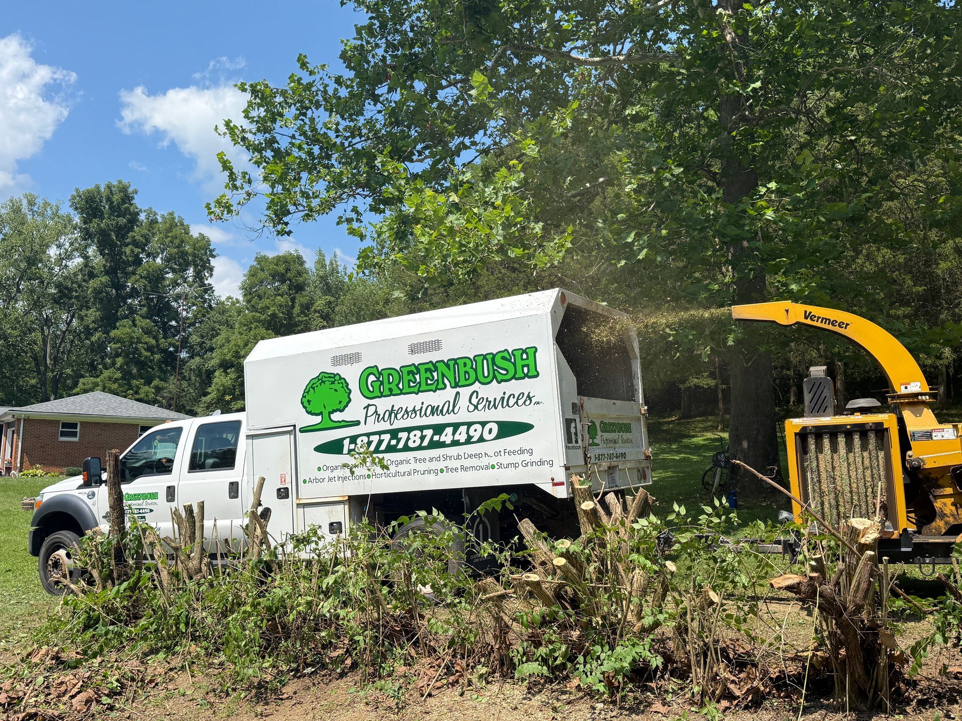 Tree service truck and wood chipper clearing brush beside a house on a sunny day