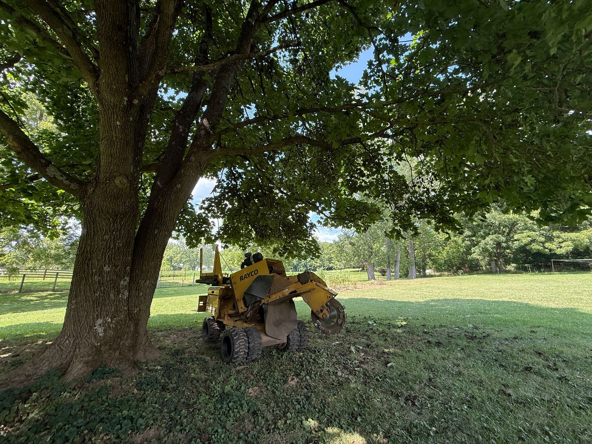 Yellow tractor parked under a large tree in a grassy field with open land in the background