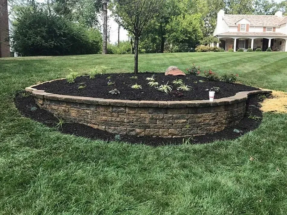 Raised circular flower bed with dark mulch and a young tree in a grassy yard near a house