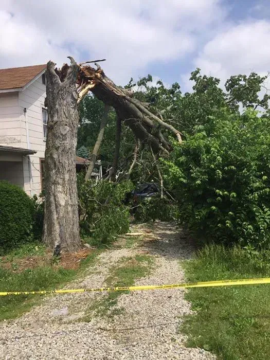Storm-damaged tree fallen onto a house, blocking a gravel driveway with yellow caution tape.