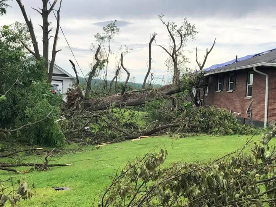 Storm-damaged yard with fallen trees and debris beside a brick house and green lawn