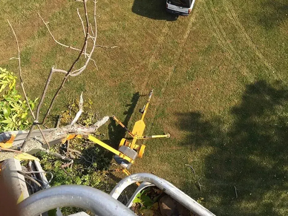 Aerial view of a yellow tree-trimming machine beside a fallen tree over a grassy yard.