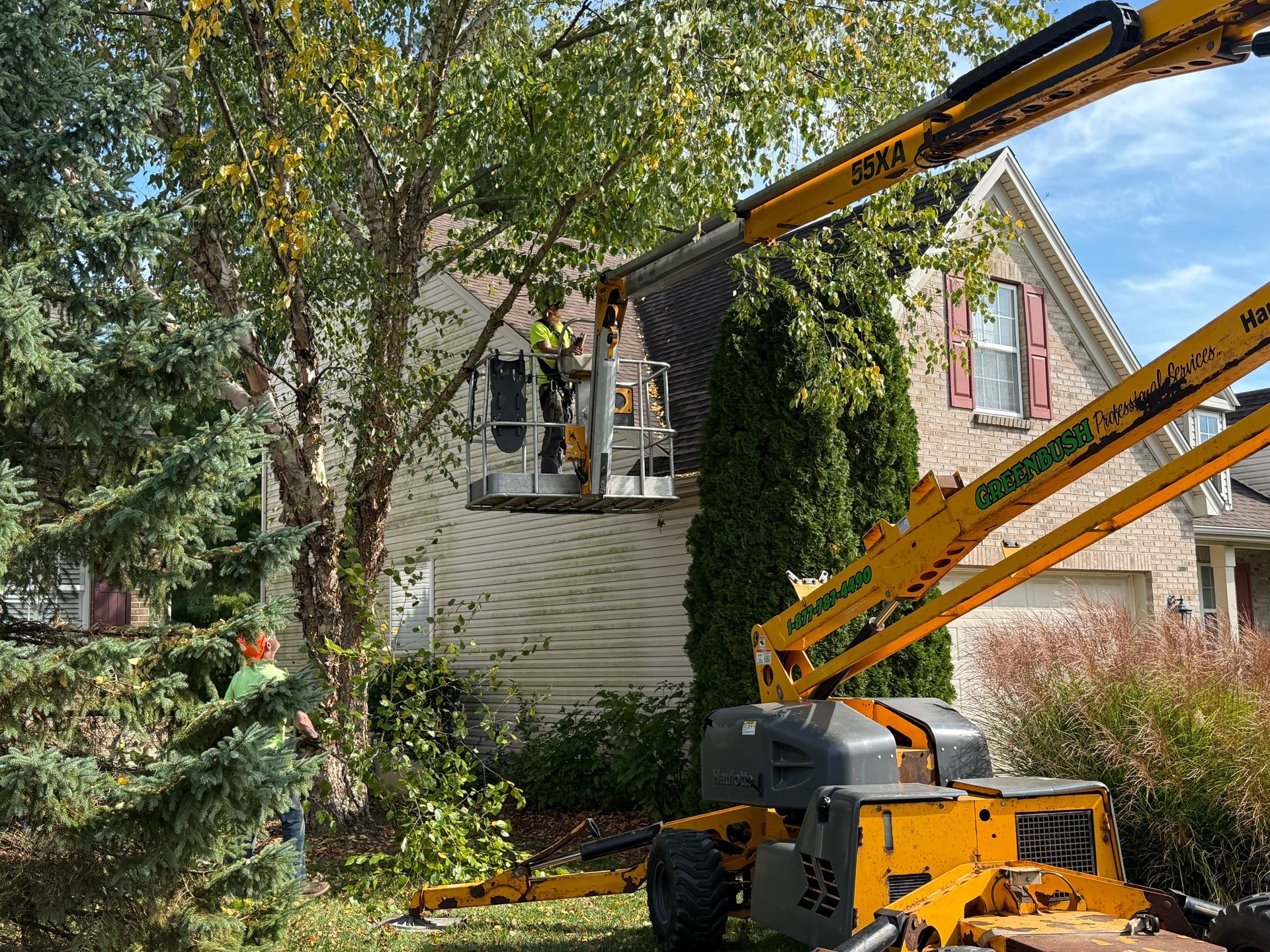 Yellow boom lift trimming a tree beside a house with white siding and ivy-covered wall