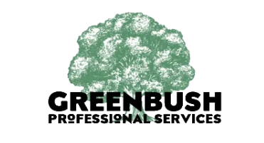 Greenbush Professional Services - logo