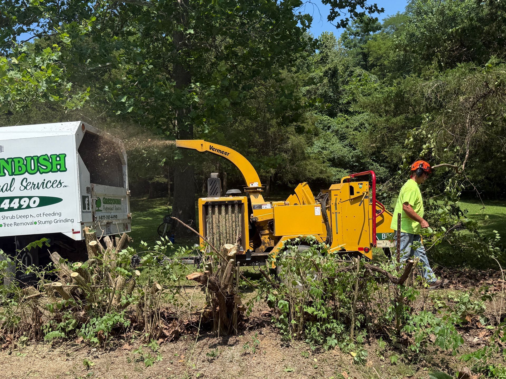 Tree-cutting crew using yellow wood chipper in a wooded area beside a truck