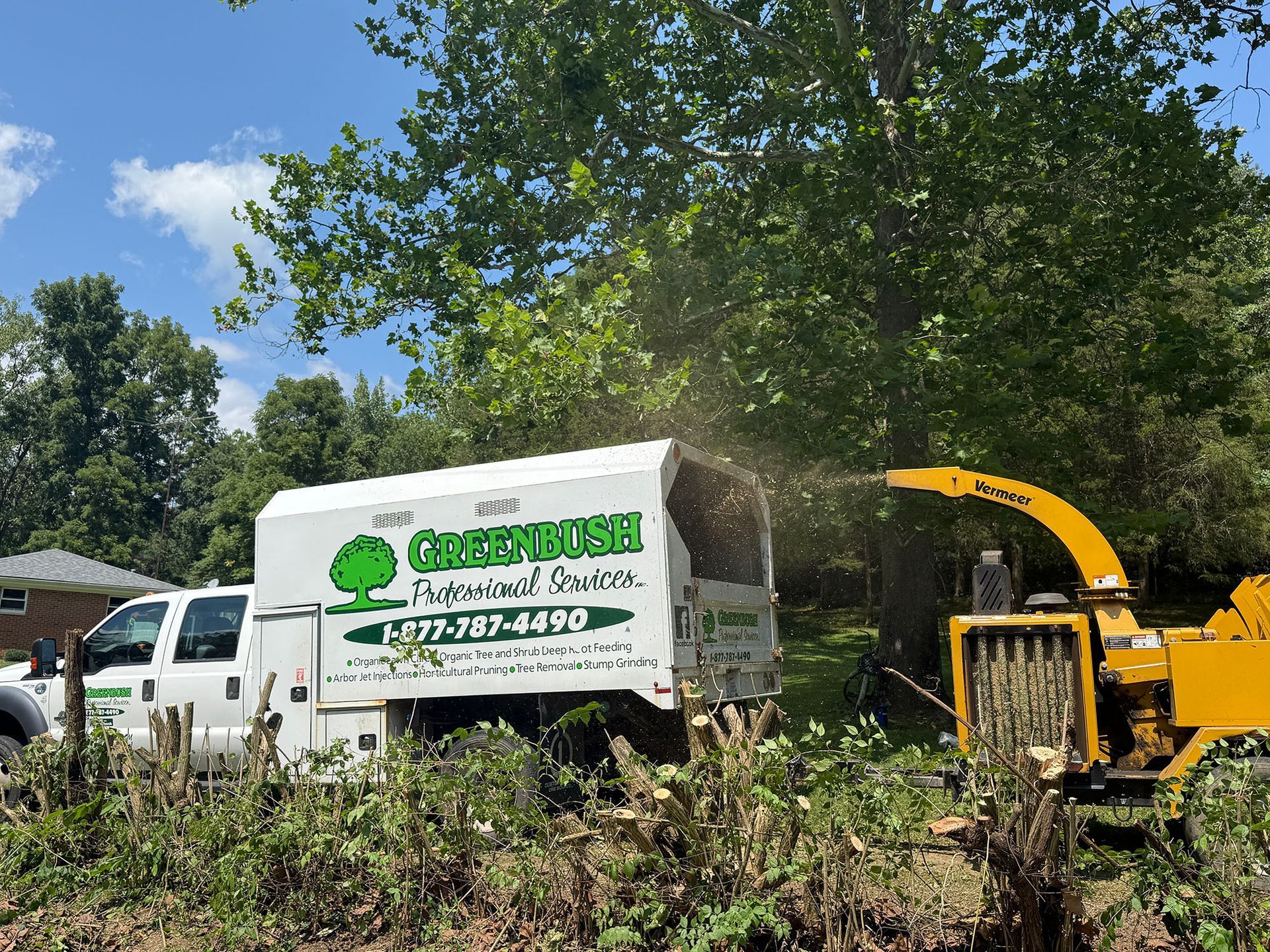 Greenbush Professional Services