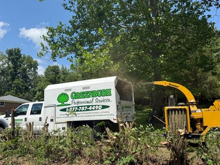 Greenbush Professional Services