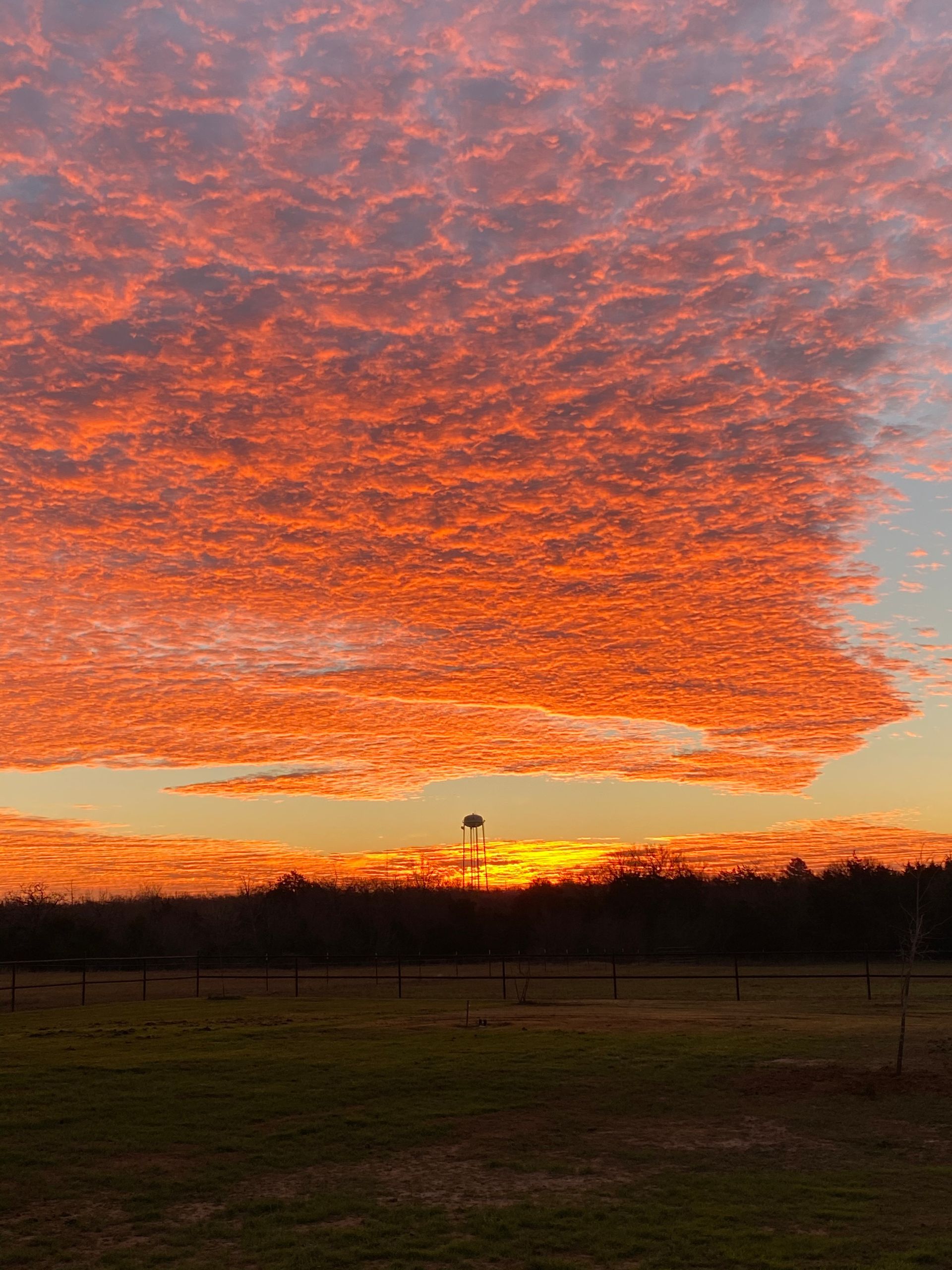 A sunset over a field with a tree in the foreground
