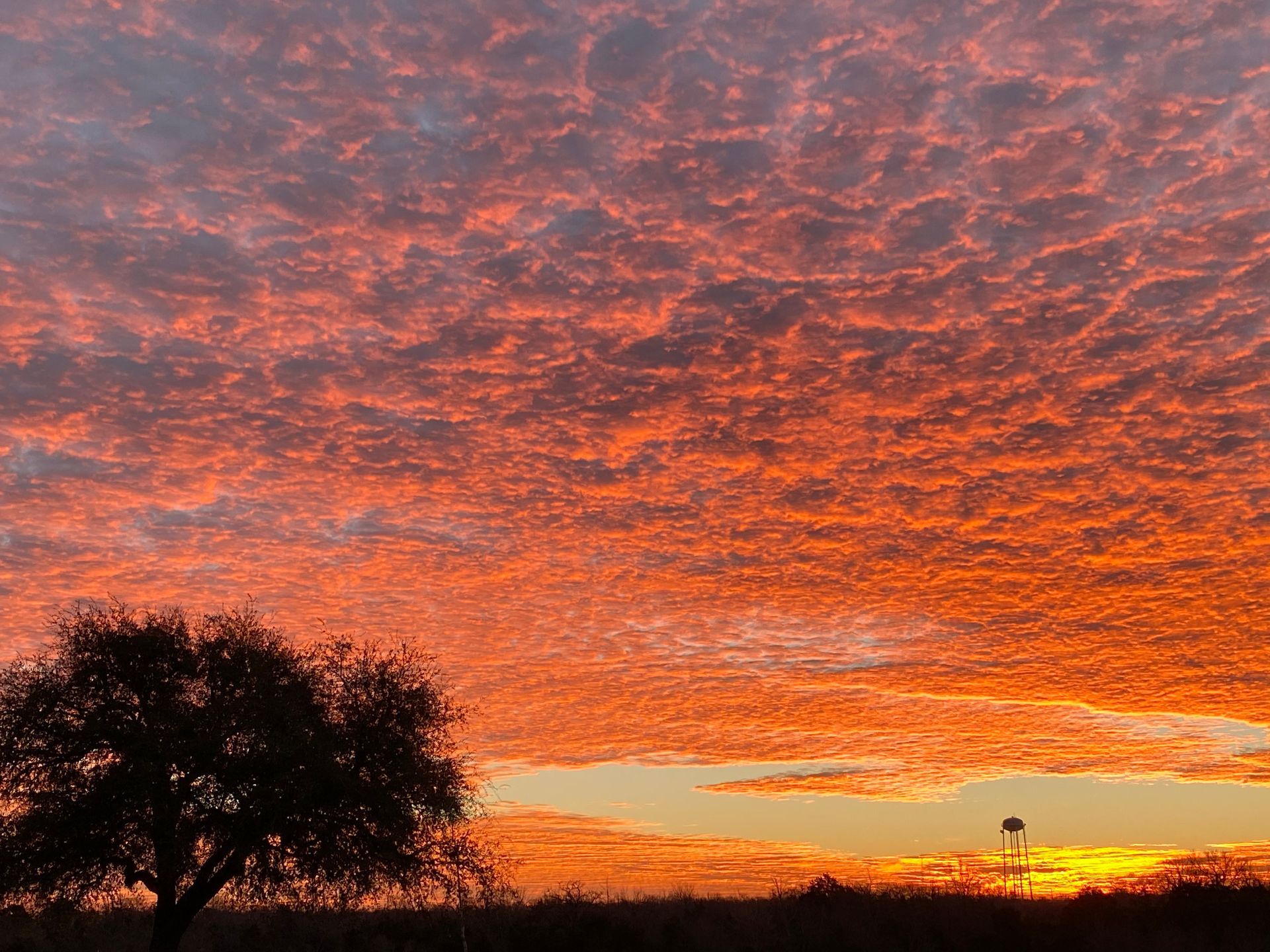 A sunset with a tree in the foreground and a water tower in the background