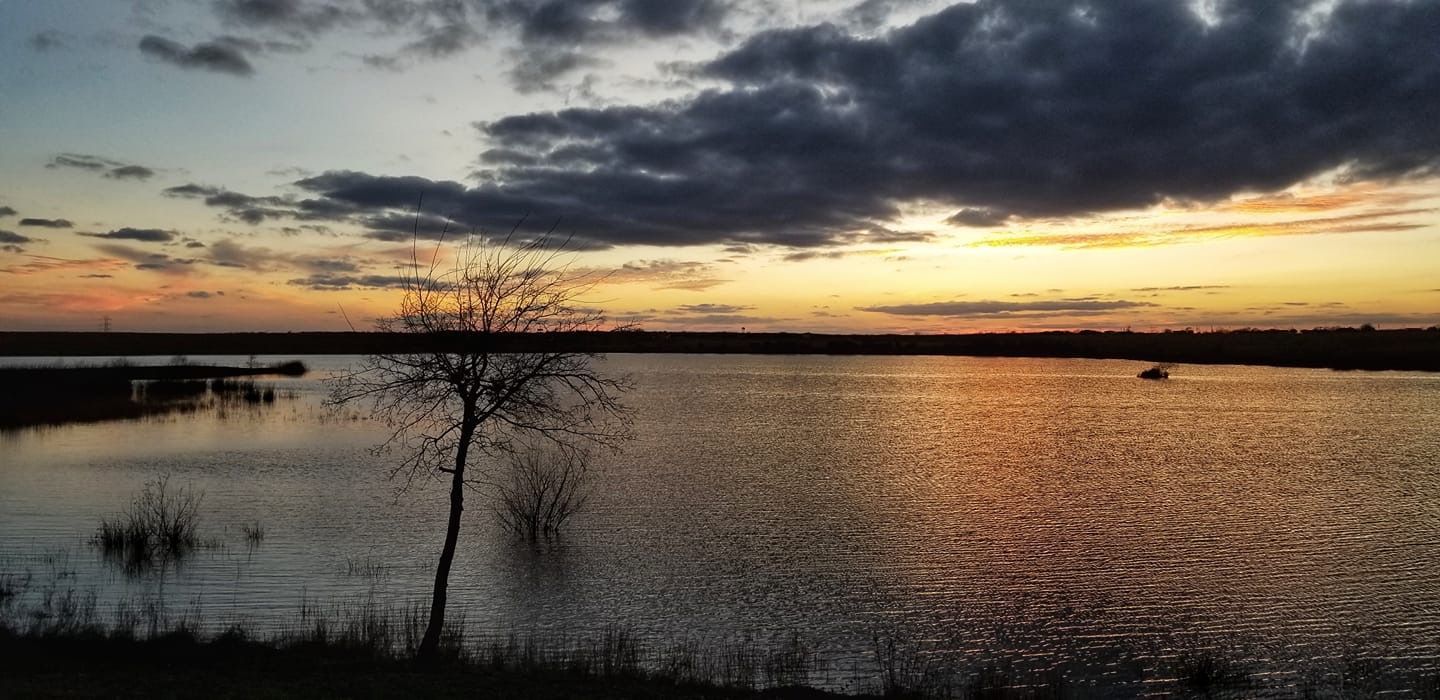 A sunset over a large body of water with a tree in the foreground