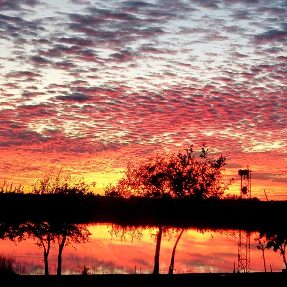 A sunset over a body of water with trees in the foreground