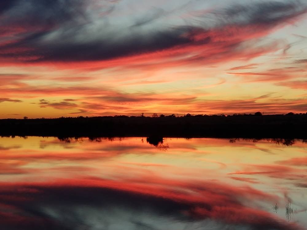 A sunset over a body of water with trees in the distance