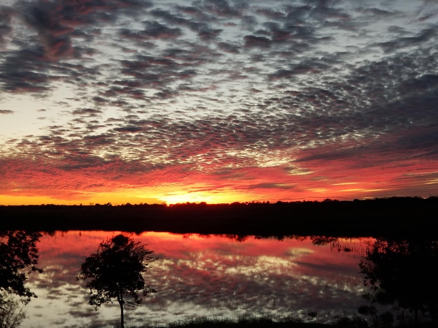 A sunset over a lake with trees in the foreground