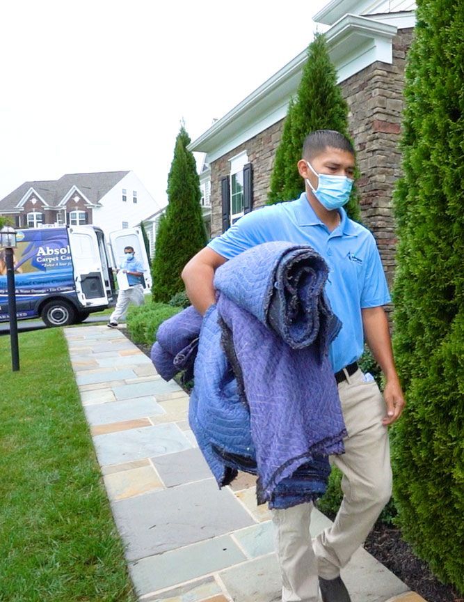 Carpet cleaning