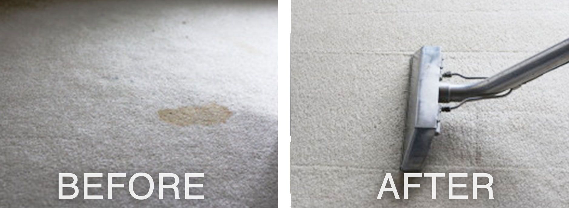 Before and after pet stain on the carpet