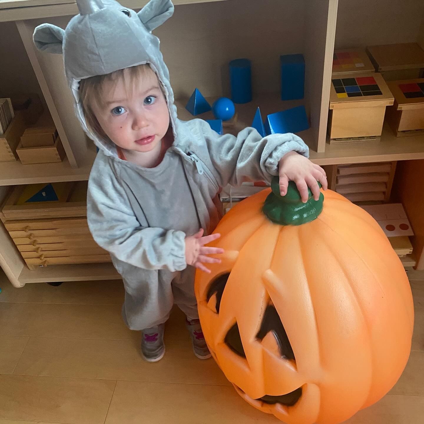 Child in gray rhino costume with orange pumpkin, wooden shelves in the background.