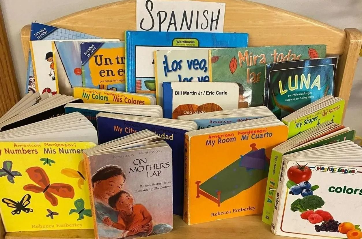 Books in Spanish stacked on a wooden shelf, colorful covers.