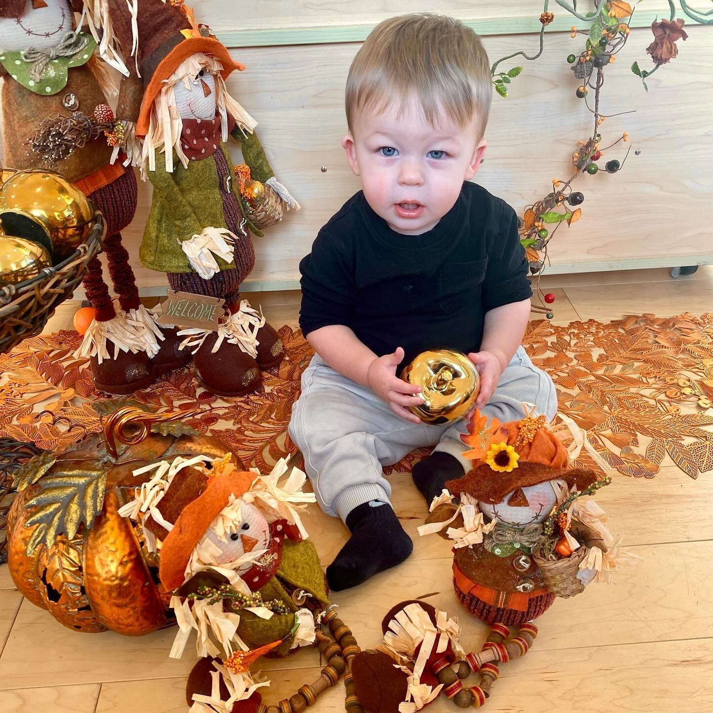 Young child seated amongst fall decorations, holding a small pumpkin.