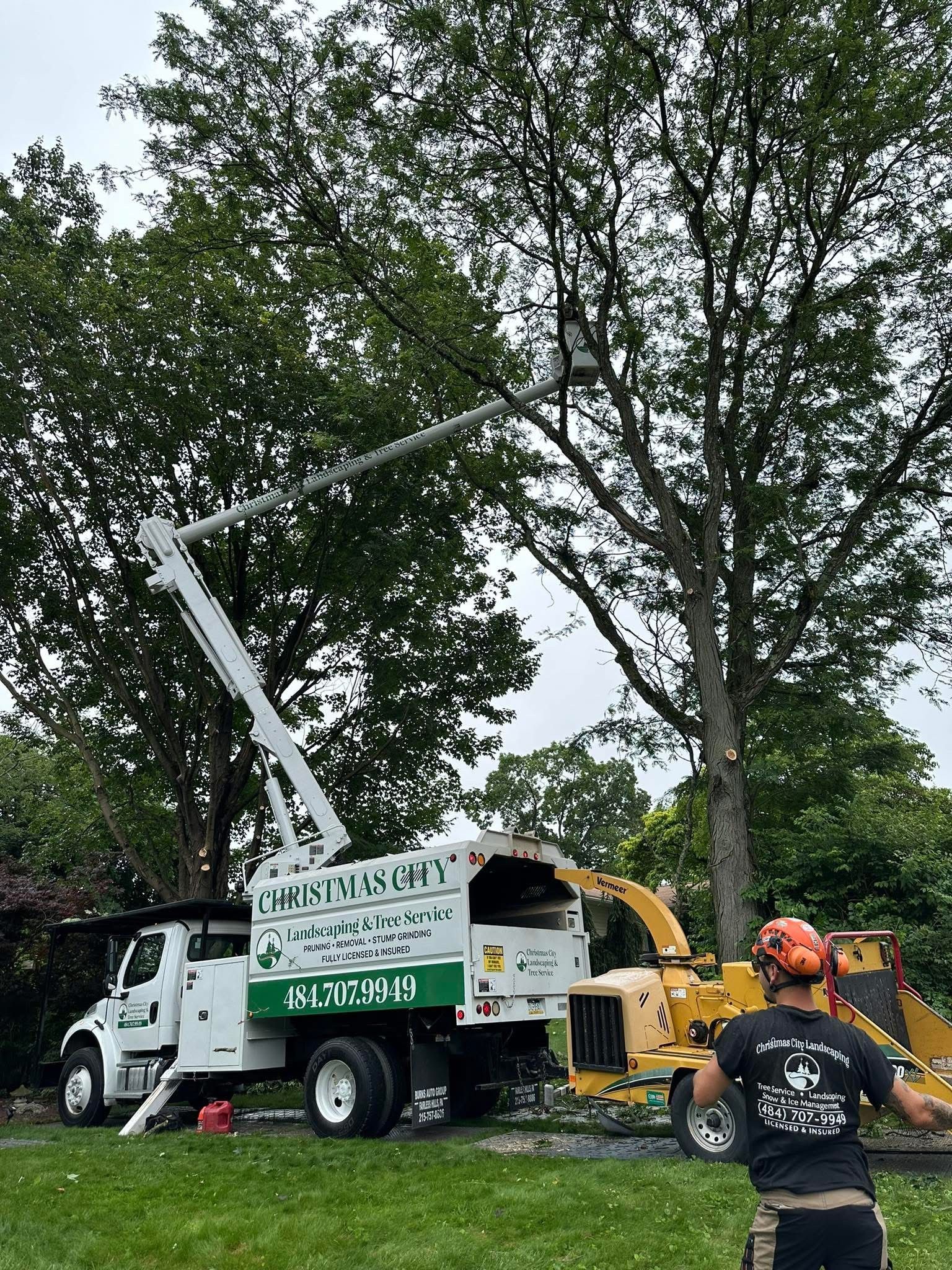 A man is standing in front of a tree cutting truck.