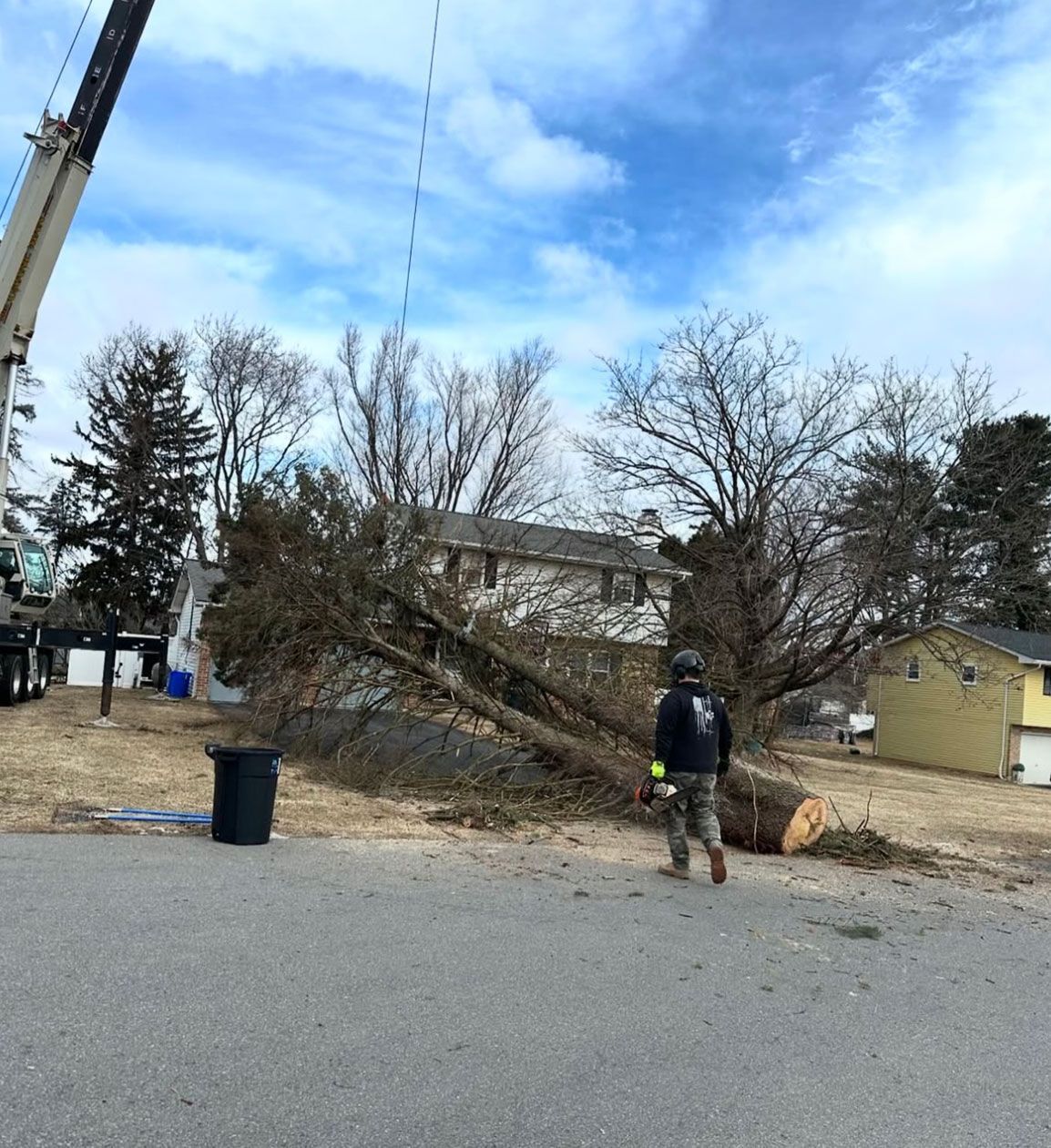 A man is walking down the street next to a fallen tree.
