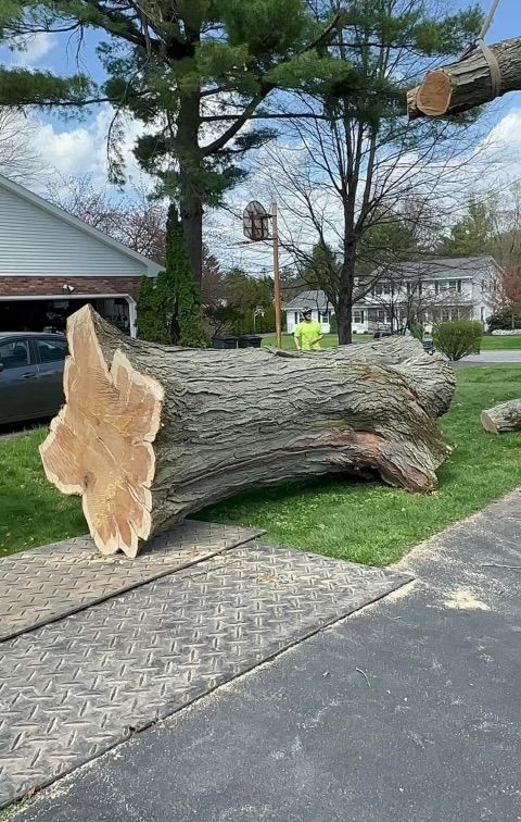 A large tree stump is laying on the side of the road