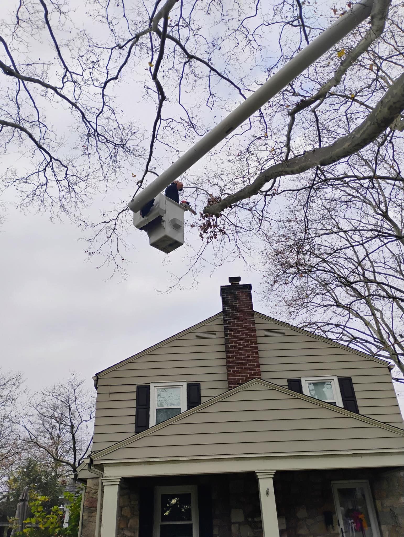 A man is cutting a tree in front of a house.