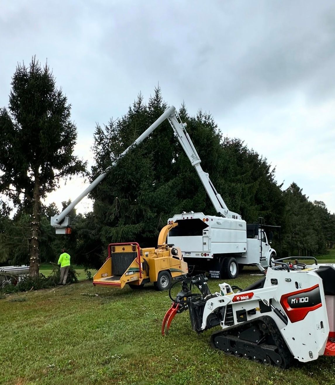 A tree is being cut down by a machine in a field.