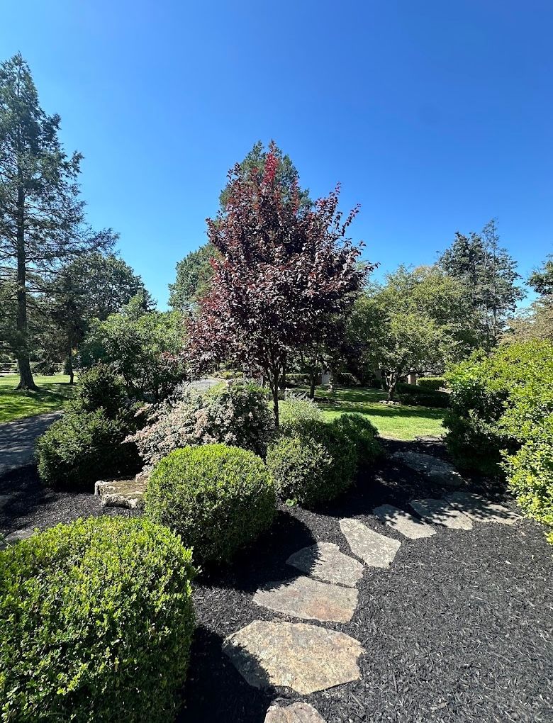A stone path in a garden with trees and bushes on a sunny day.