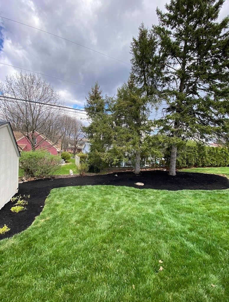 A backyard with a lush green lawn and trees.