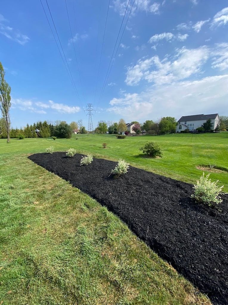 A row of black mulch in a grassy field with a house in the background.