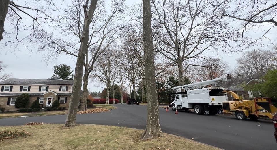 A tree trimming truck is parked in front of a house.