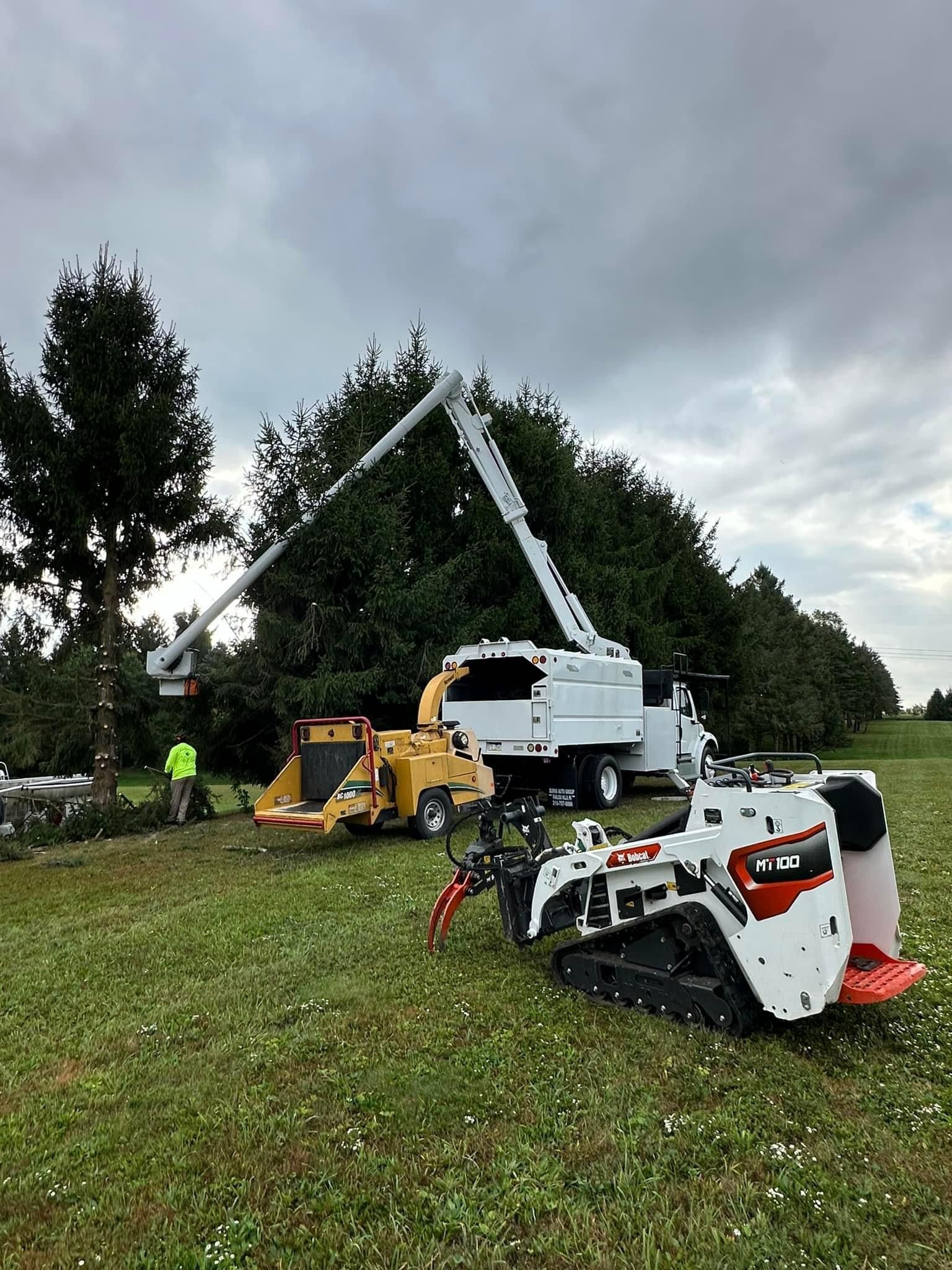 A large tree is being cut down by a machine in a field.