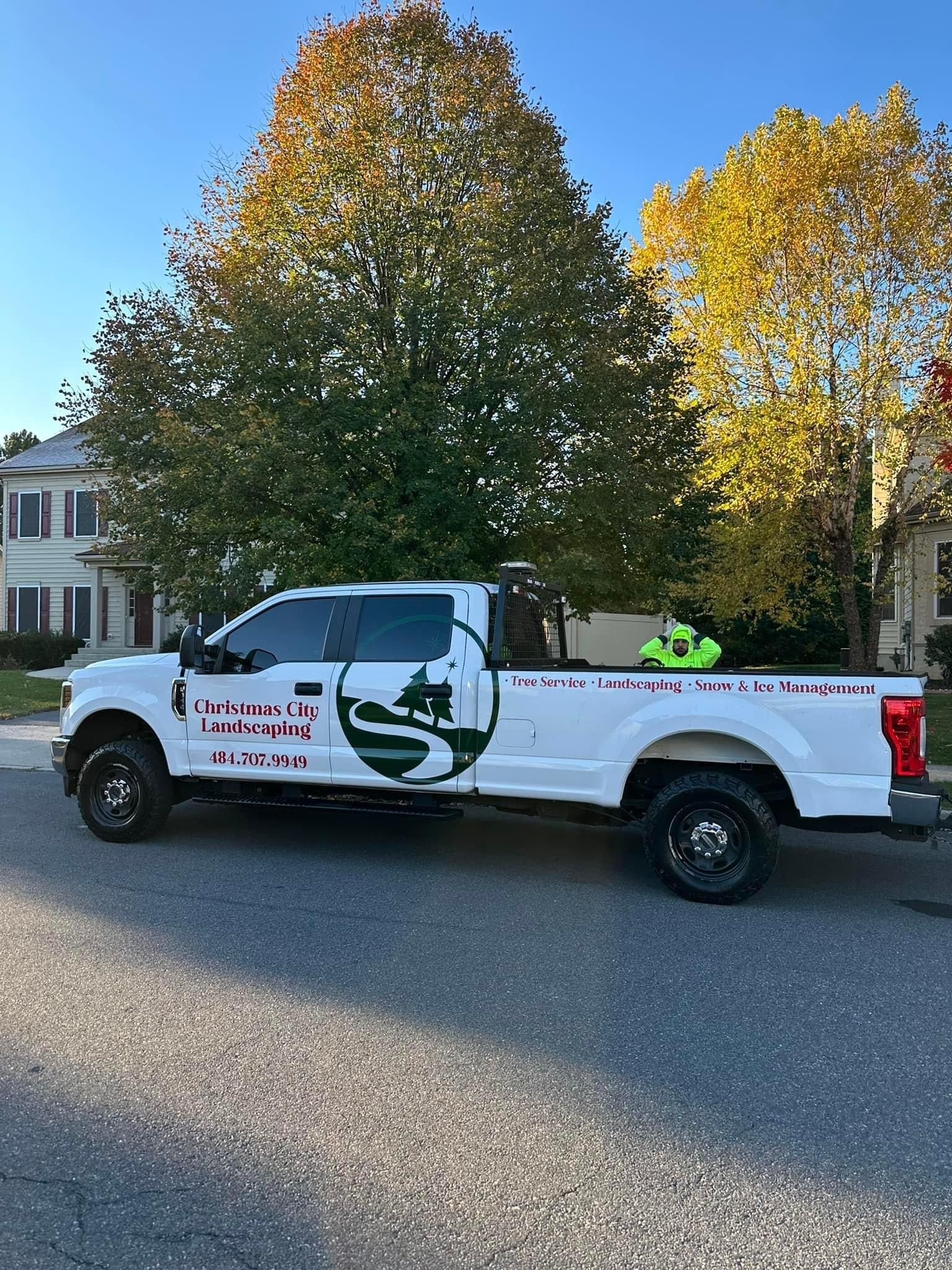 A white truck is parked on the side of the road in front of a tree.