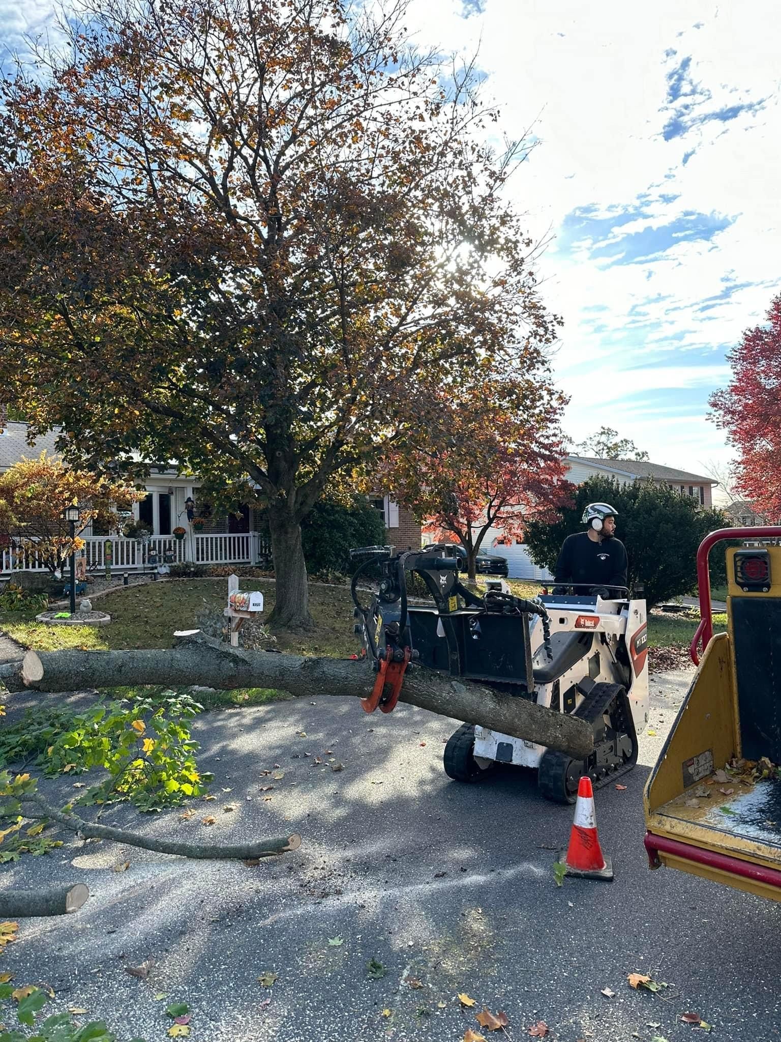 A tree is being cut down by a machine in a driveway.