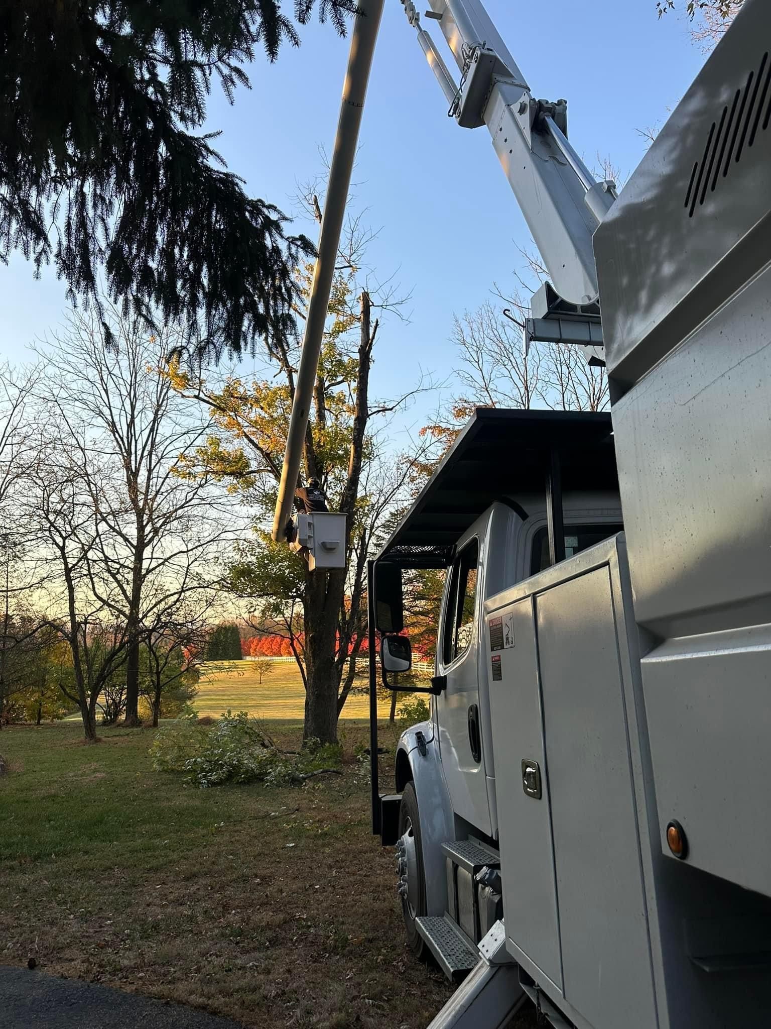 A white truck is parked next to a tree with a crane attached to it.