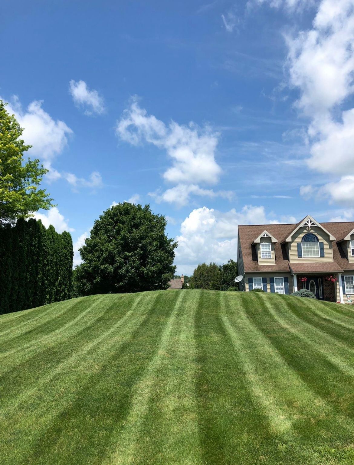 A lush green lawn in front of a house on a sunny day.