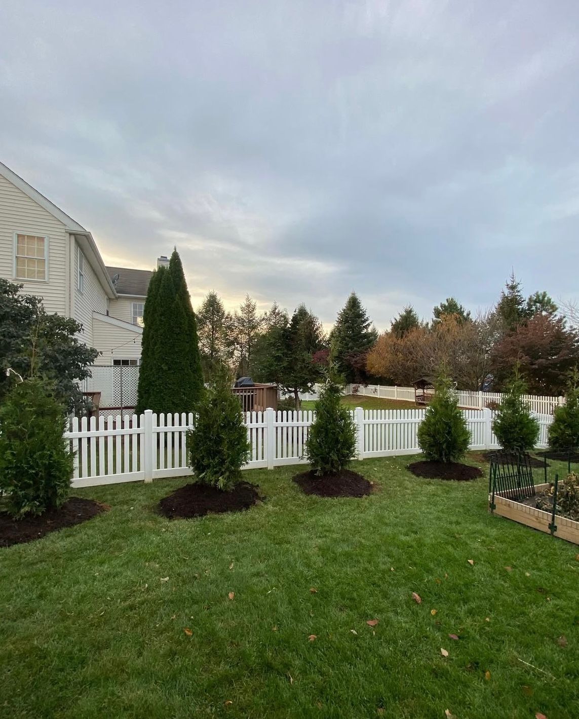 A backyard with a white picket fence and trees.