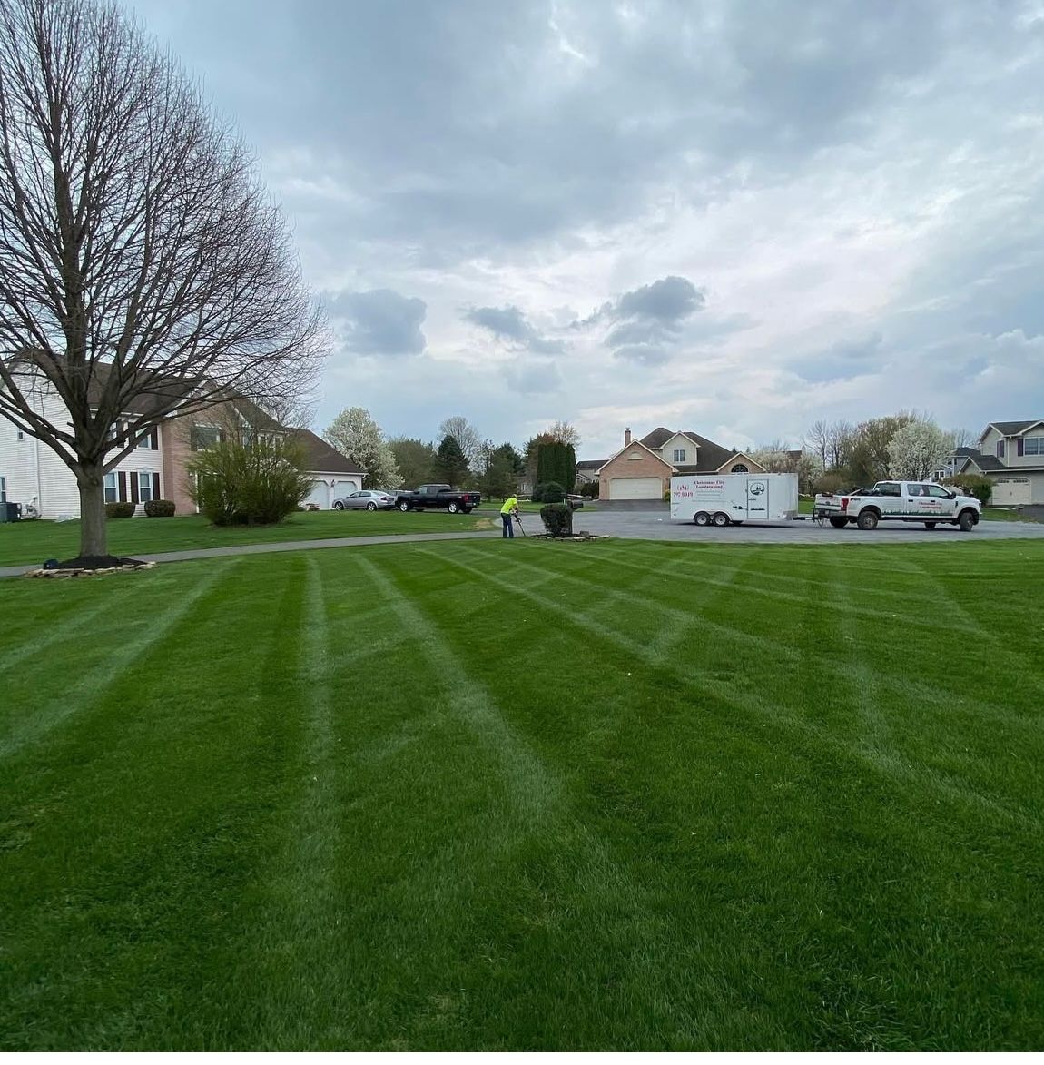 A lush green lawn in a residential neighborhood
