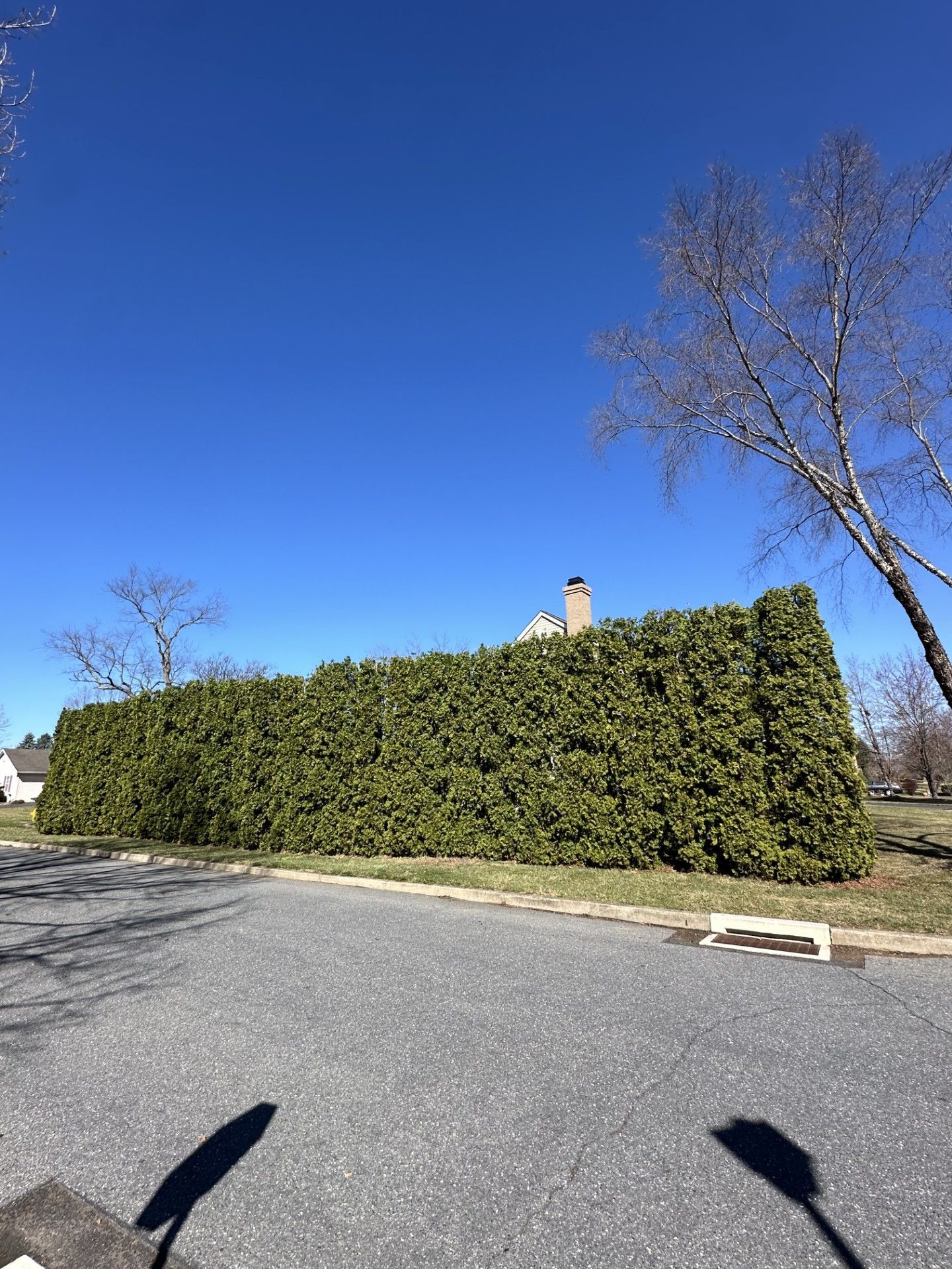 A hedge along the side of a road with a chimney on top of it.