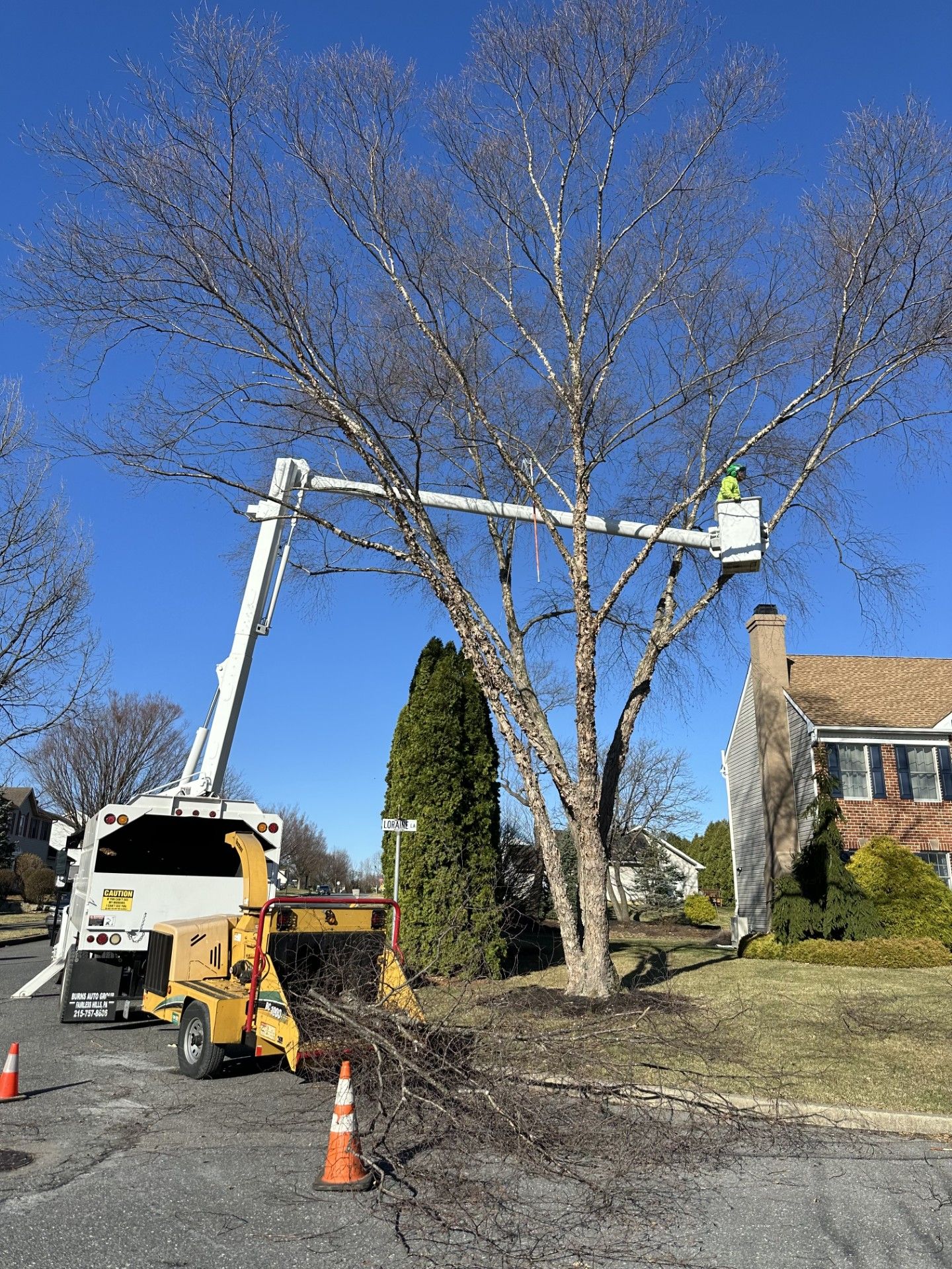 A man in a bucket is cutting a tree in front of a house.