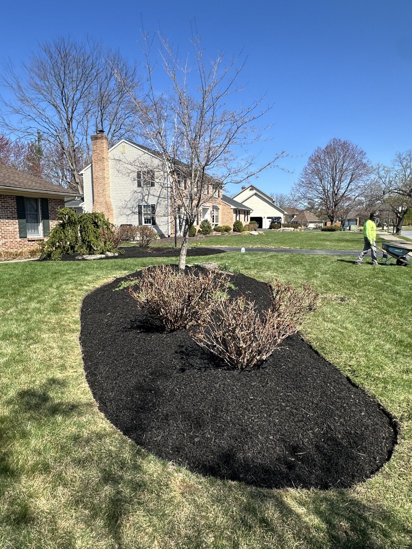 A person is raking mulch in a yard in front of a house.