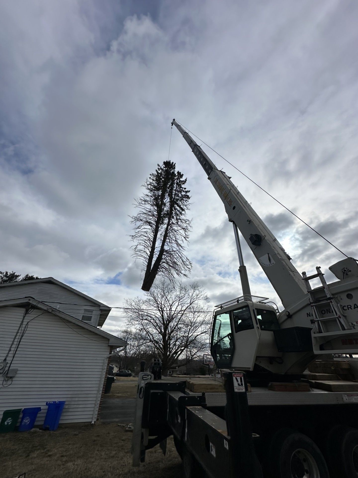 A crane is lifting a tree in front of a house.