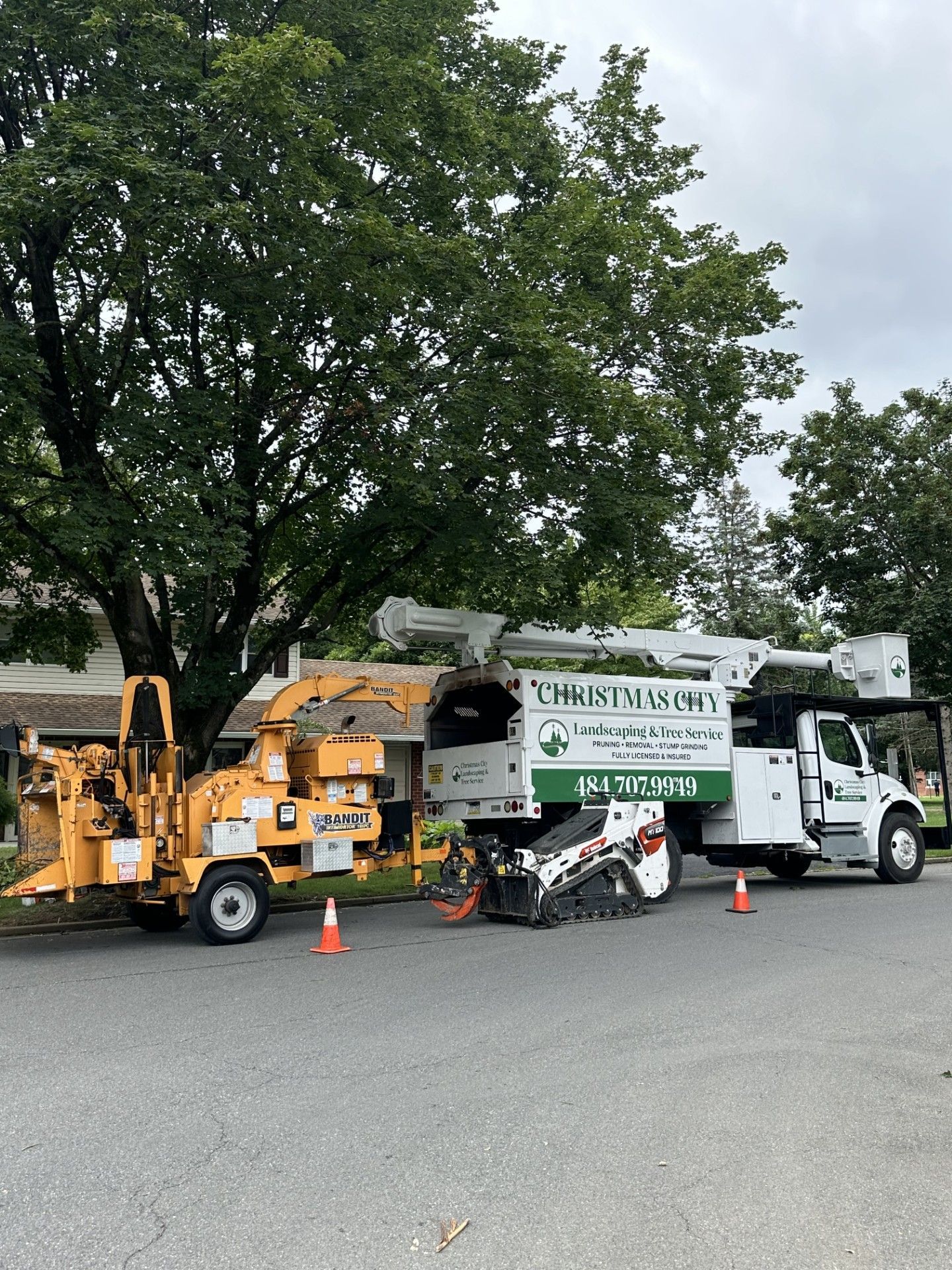 Tree removal equipment, including a chipper and truck with a lift, parked in front of a large tree on a residential street.