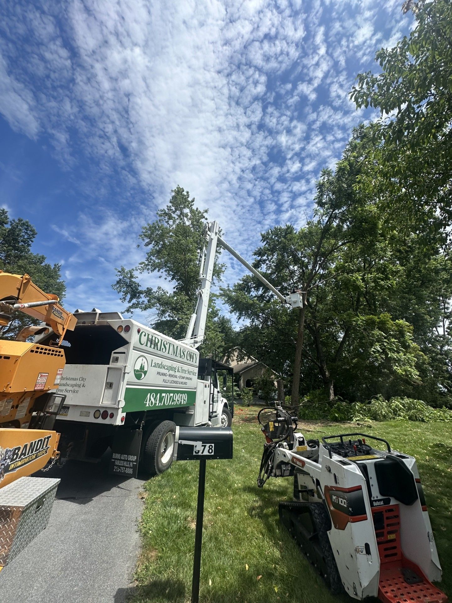 Tree service truck with a raised boom trimming a tree, next to a Bobcat and stump grinder on a sunny day.