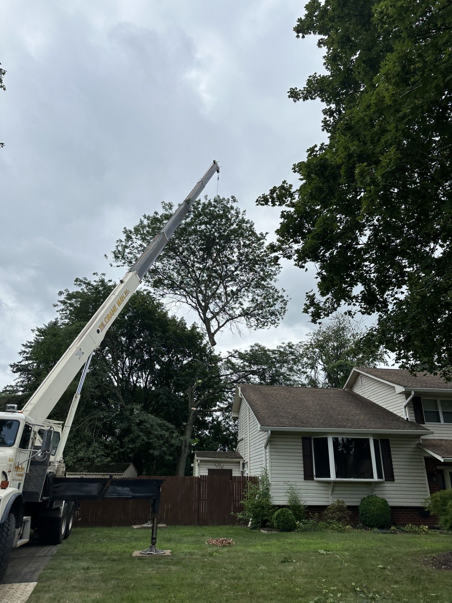 A crane trimming a tree in a residential yard on a cloudy day. A truck is parked on the lawn near a house.