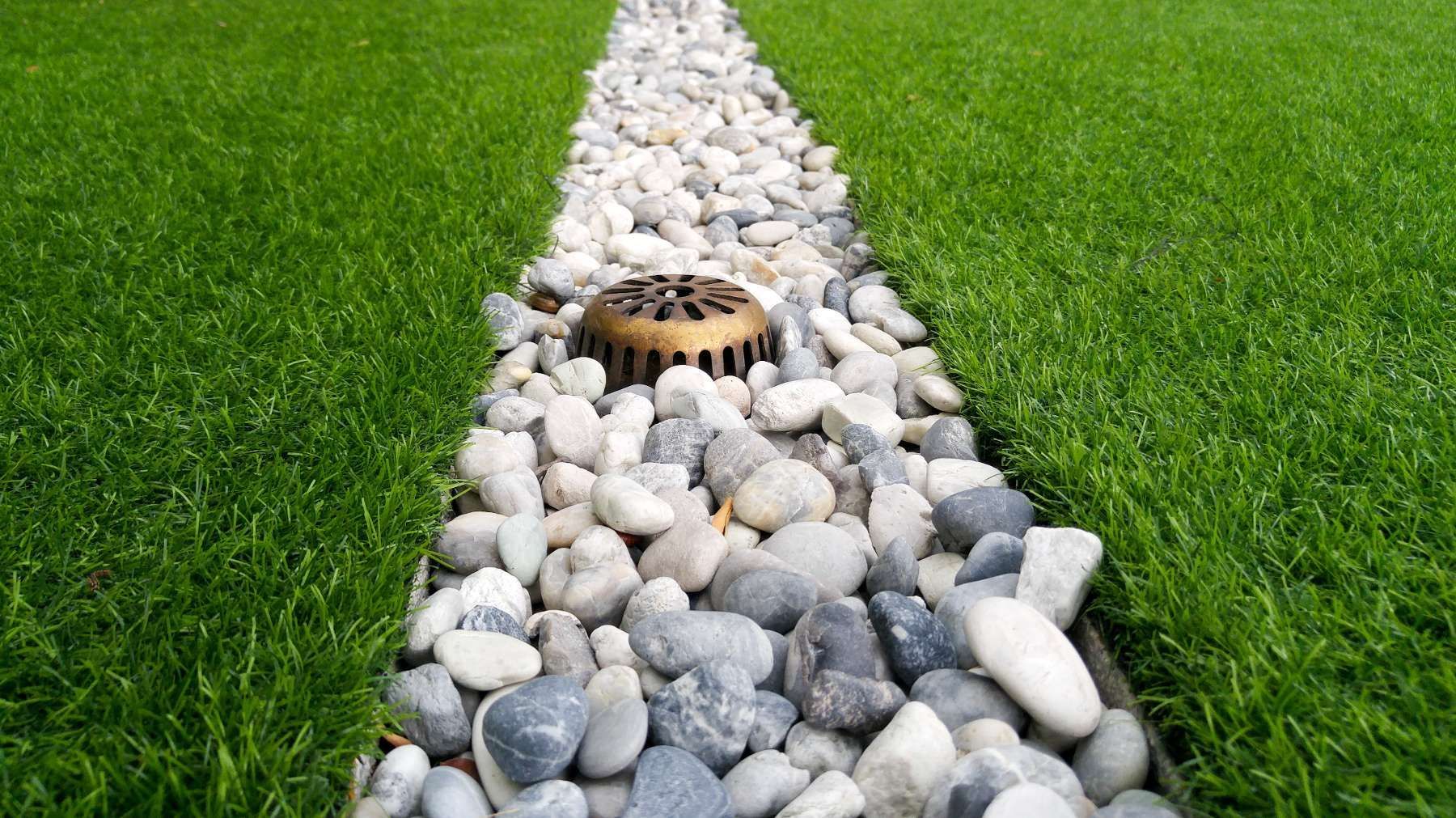 A stream of rocks runs through a lush green field.