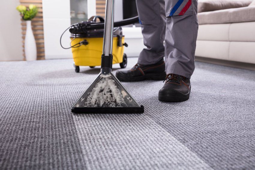 Carpet being cleaned with a vacuum cleaner, showing a visible difference in color.