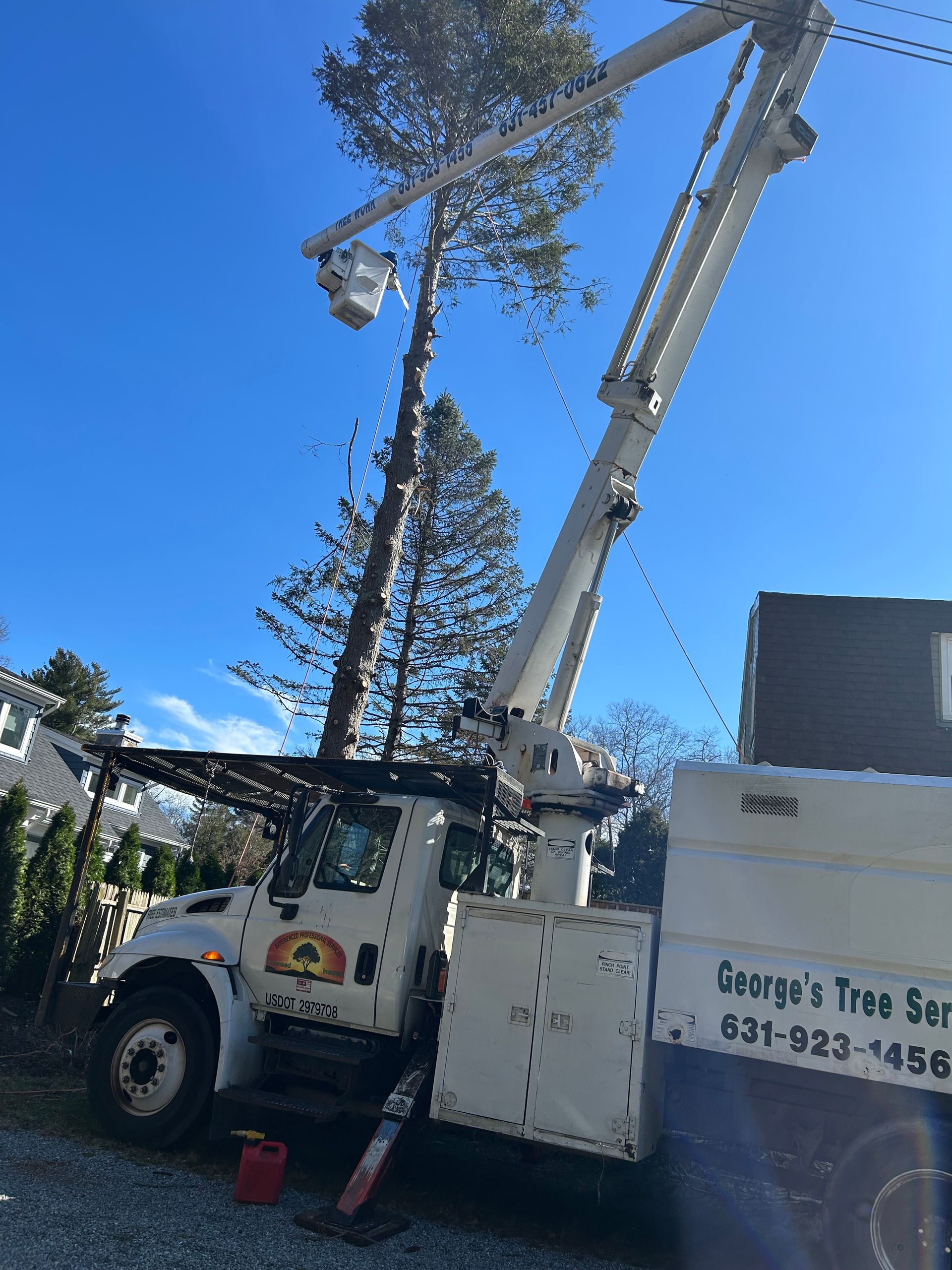 A george 's tree company truck is cutting a tree