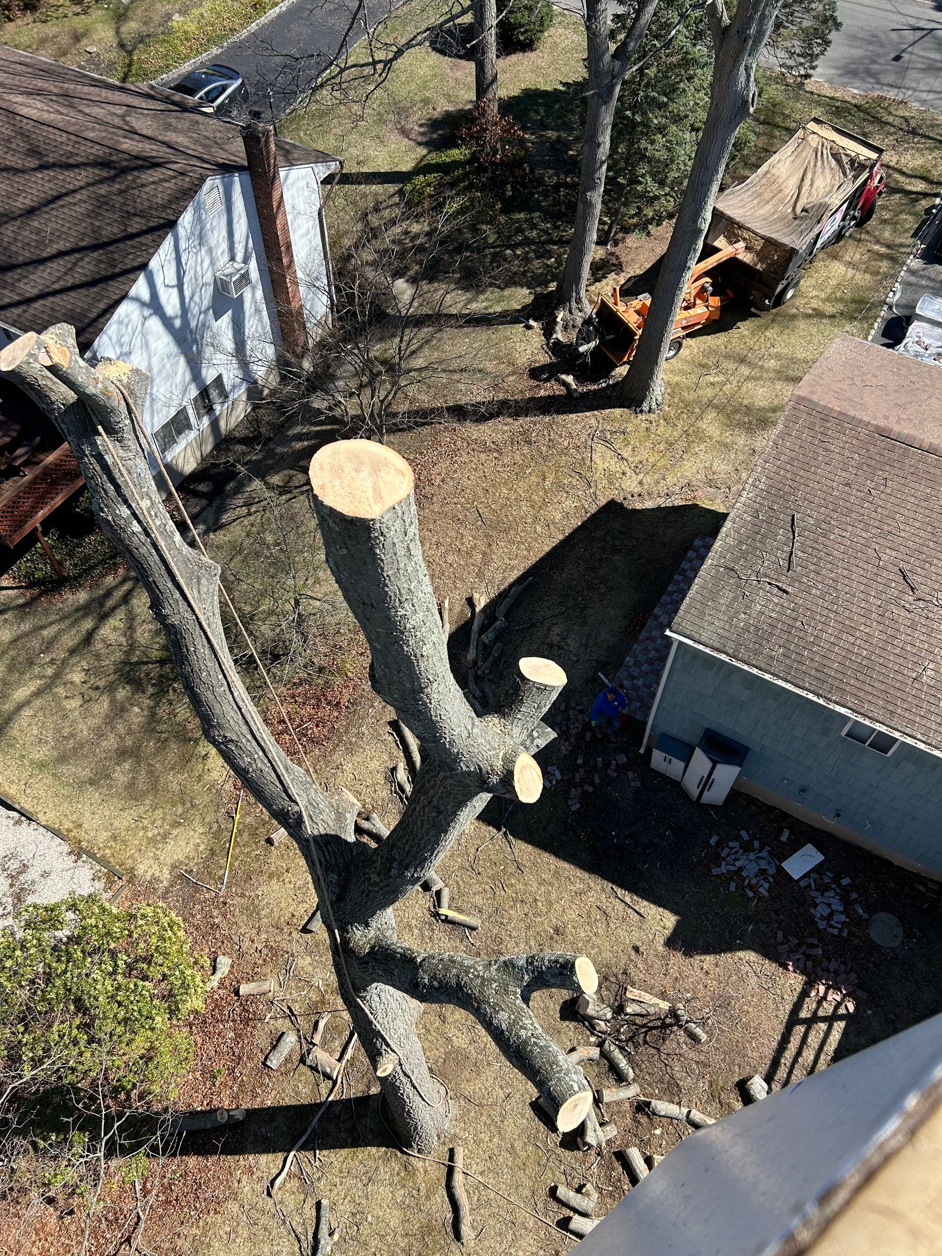 An aerial view of a tree stump in a yard next to a house.