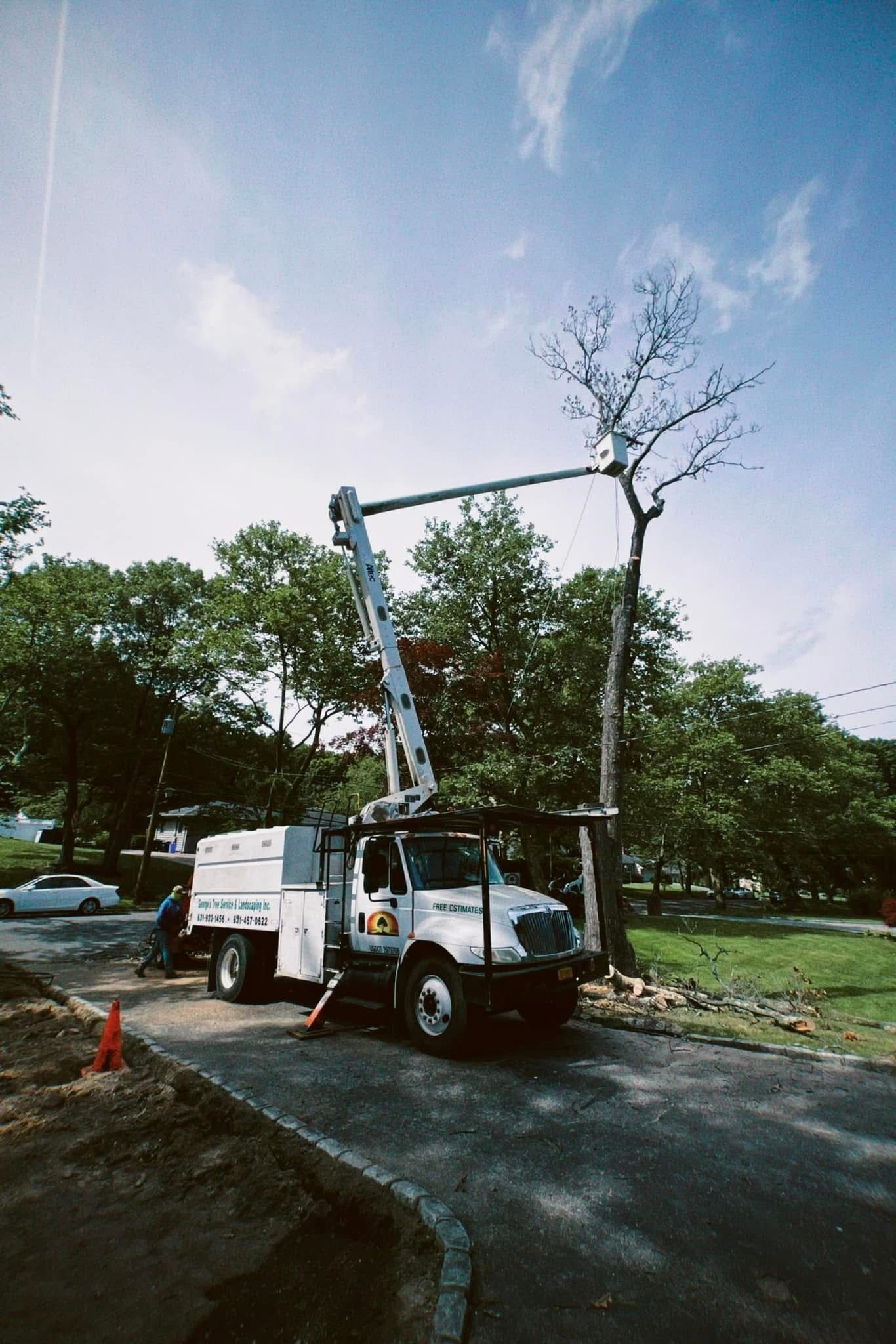 A white truck with a crane attached to it is cutting a tree.